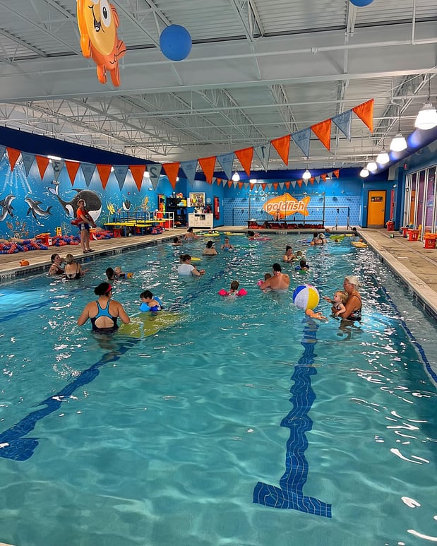 Images Goldfish Swim School - Anderson
