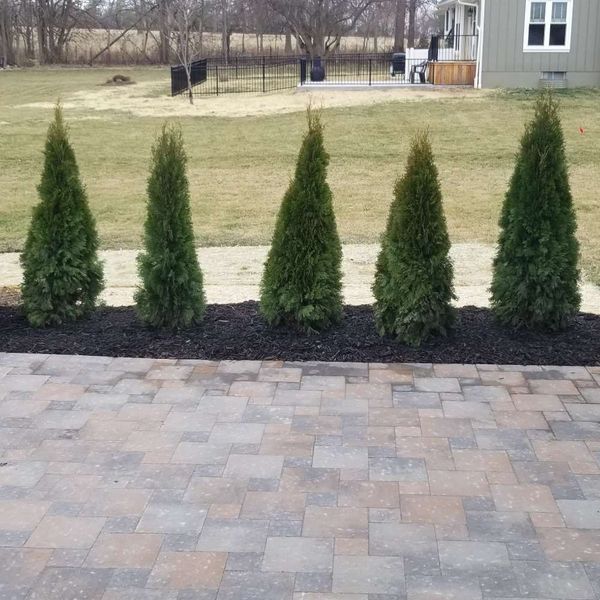 Images S & T Landscaping & Irrigation, LLC