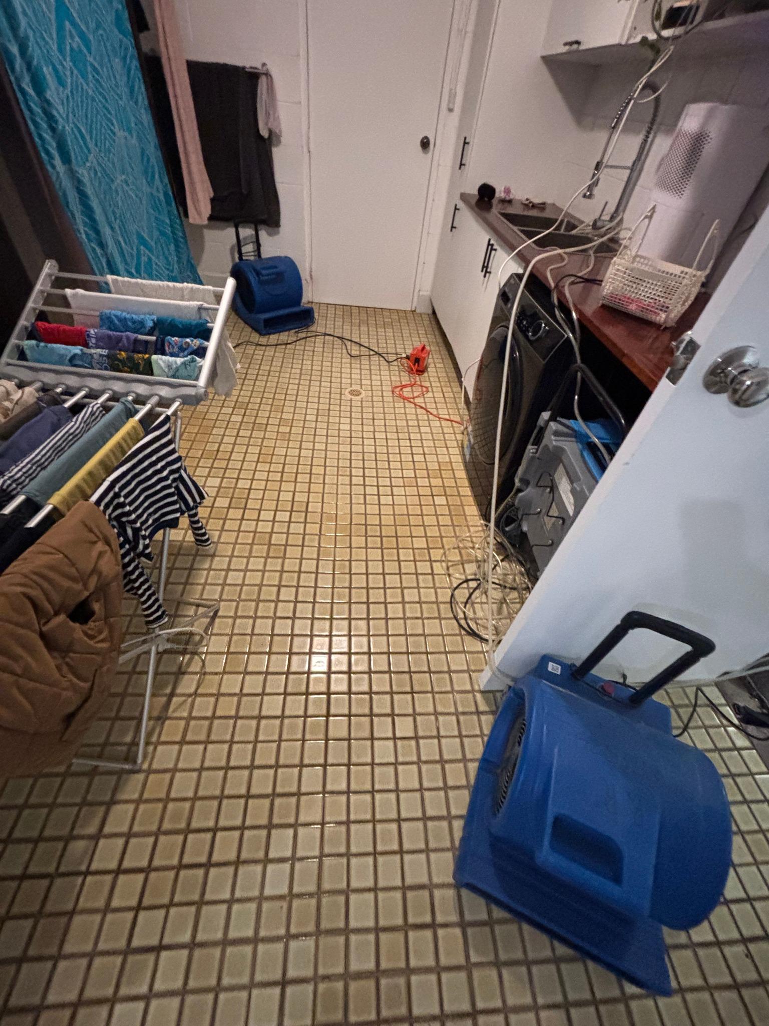 Images Restored Right flood Restoration Carpet Cleaning & Cleaning Services