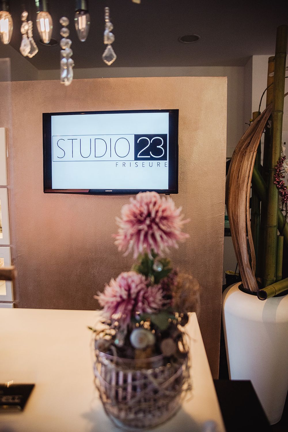 Bilder Studio 23