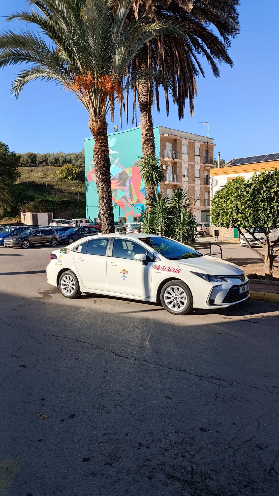 Images Taxi Linares 24