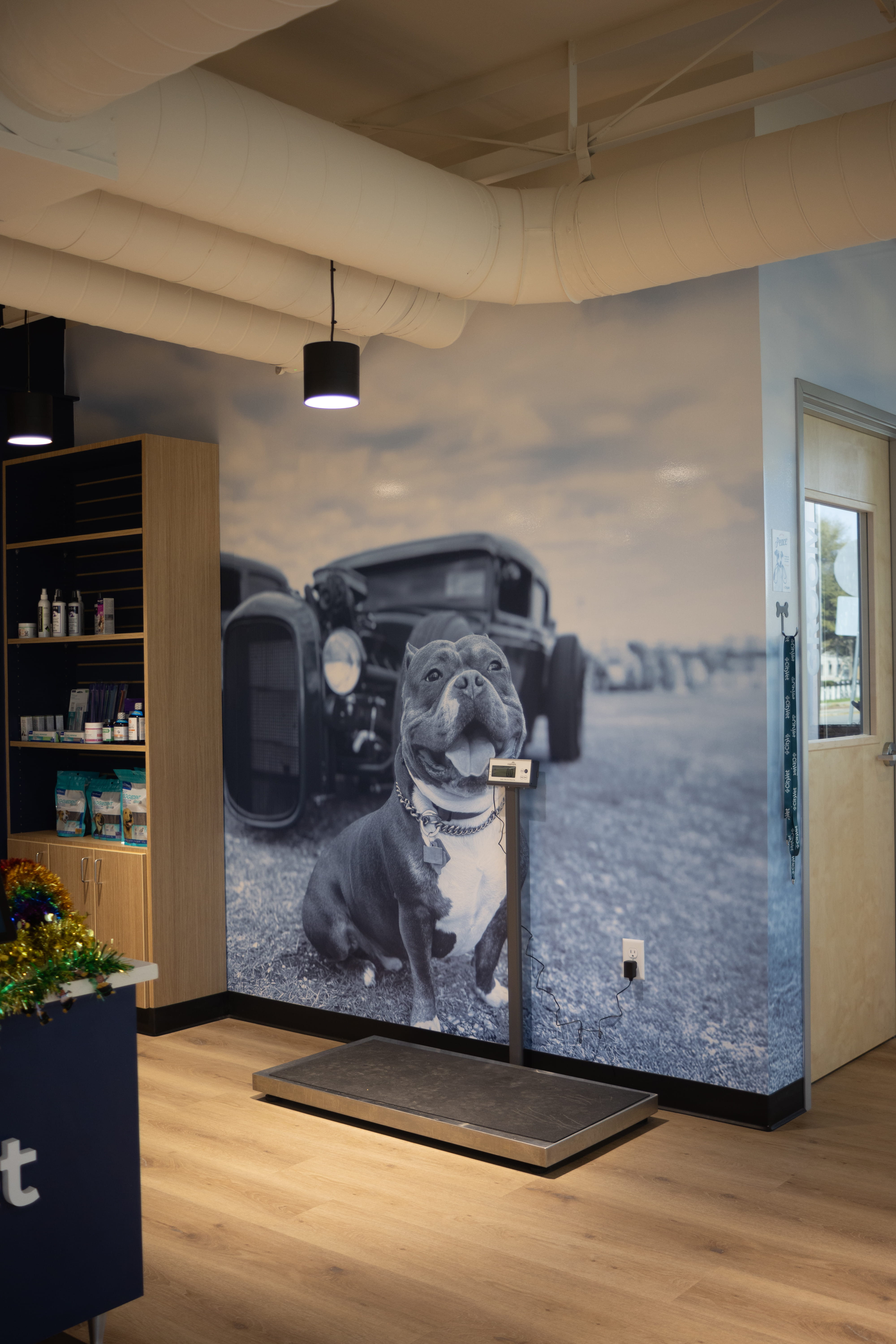 CityVet | West 7th inside clinic