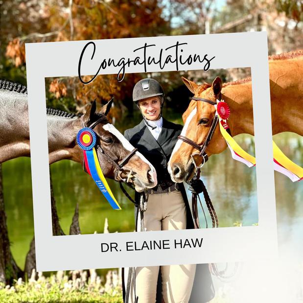 Images FULL CIRCLE EQUINE VETERINARY SERVICES