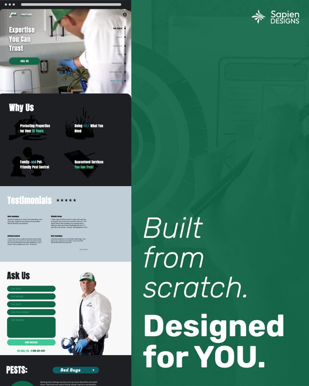 Images Sapien Designs SEO digital marketing hub