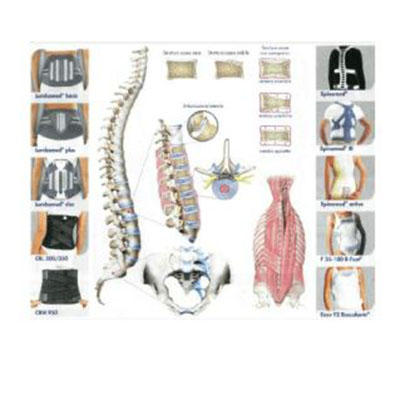 Images Ortopedia Torinese