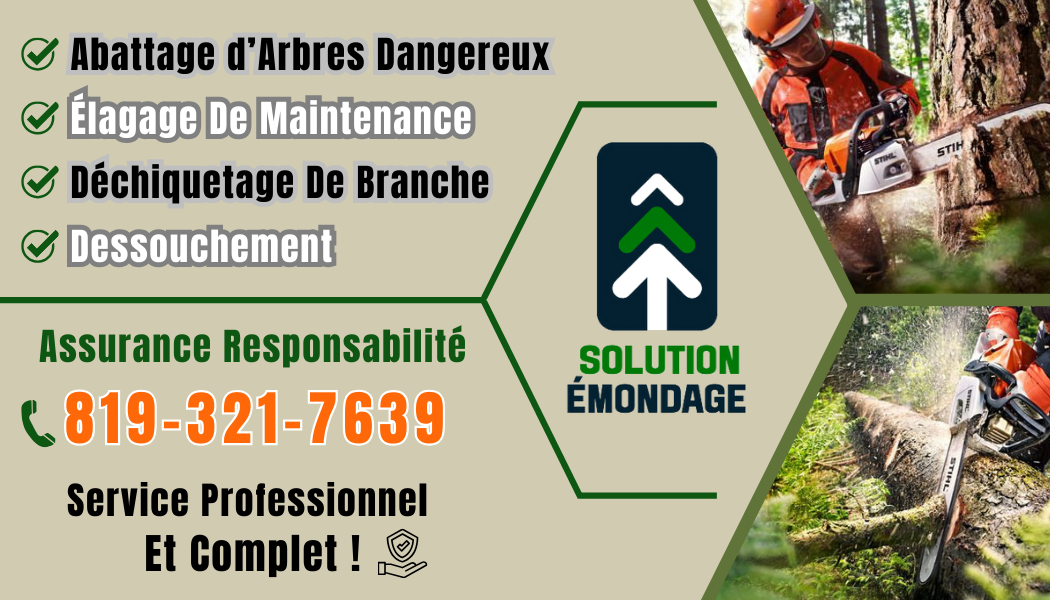 Images Solution Émondage - Élagueur