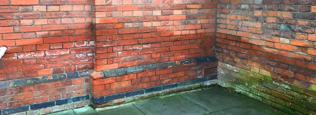 Images Verisure Damp Proofing & Plastering