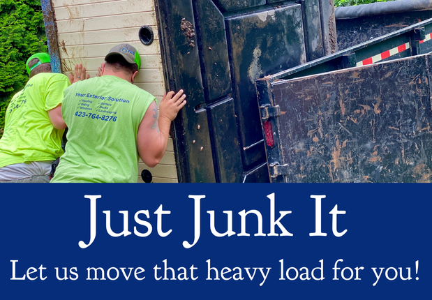 Images Just Junk It
