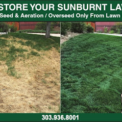 Images Lawn Doctor - Colorado Springs & Pueblo