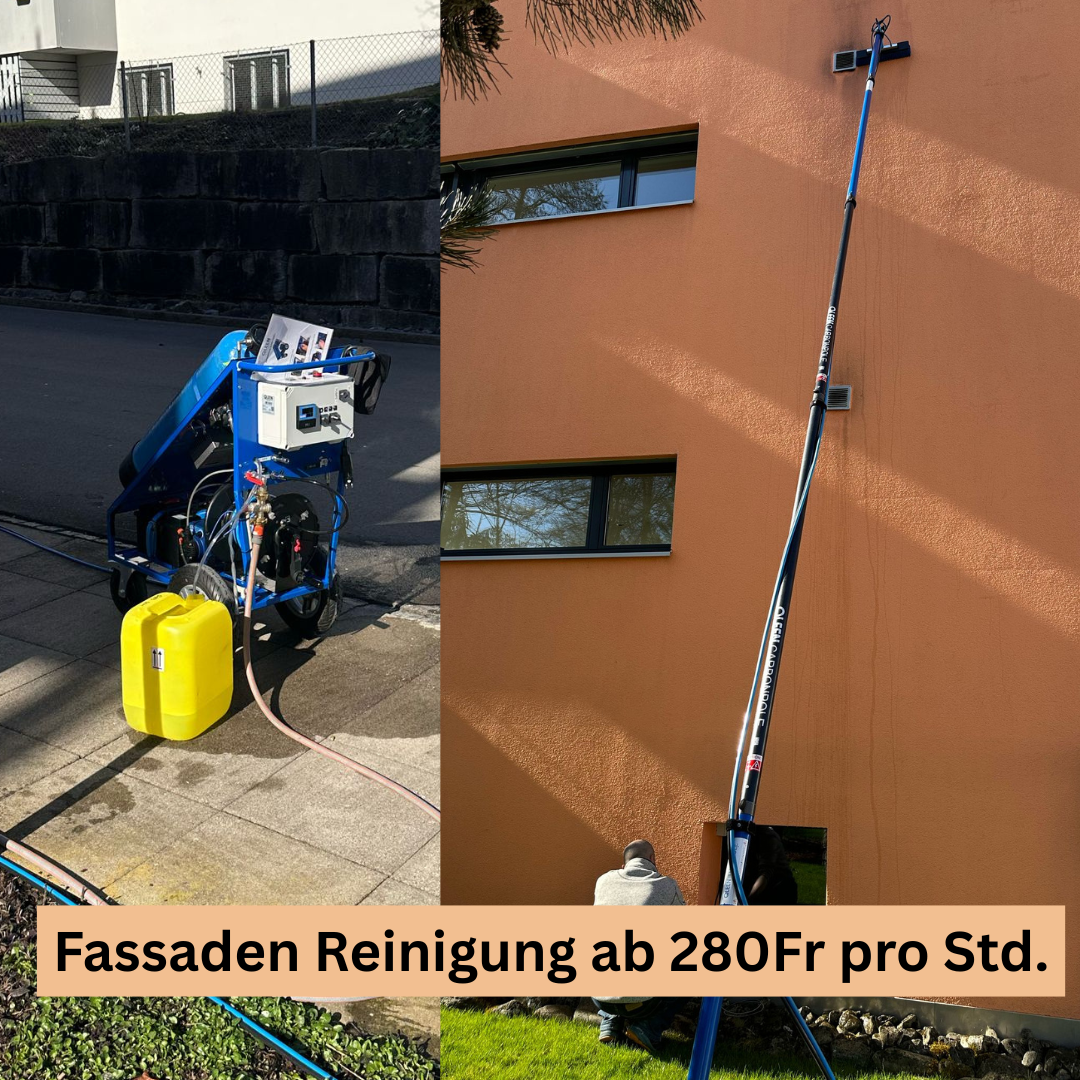 Bilder Sopa Reinigung