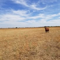 Images USA Land and Ranch