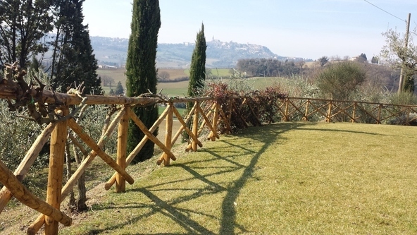 Images Vivaio Bellucci e Stefanelli