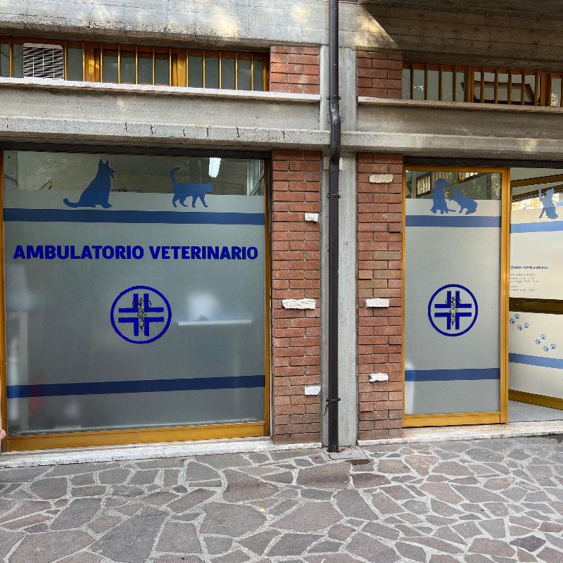 Images Publigrafica Sas