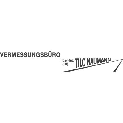 Vermessungsbüro Dipl.-Ing. (FH) Tilo Naumann in Heidenau in Sachsen - Logo
