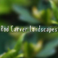 Carver Rod Logo