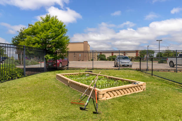 Images Primrose School of Round Rock North