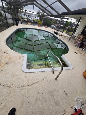 Images Paradise Palm Pools Inc