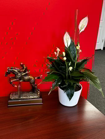 Images Marjorie Schaeffer - State Farm Insurance Agent