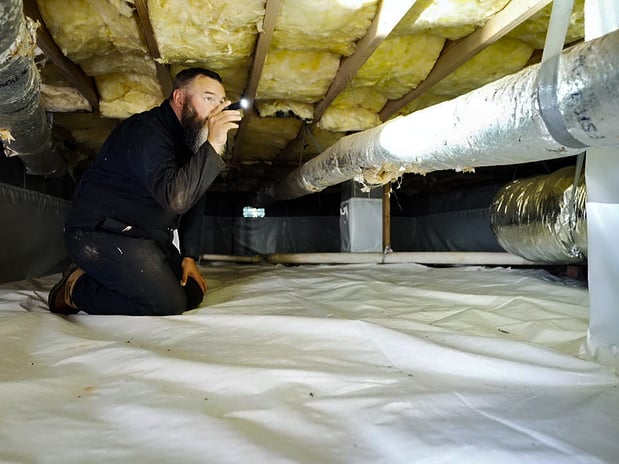 Images Pest Magic, LLC