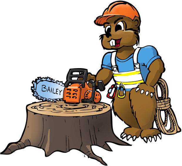 Images Bailey Tree Care