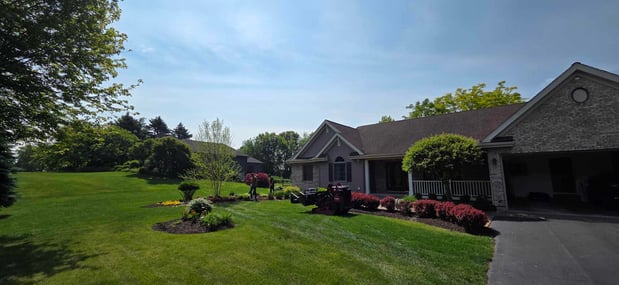 Images The Ranch Tree Services