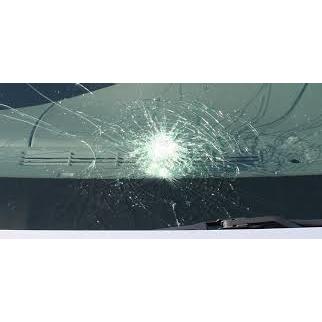 Specialists Auto Glass