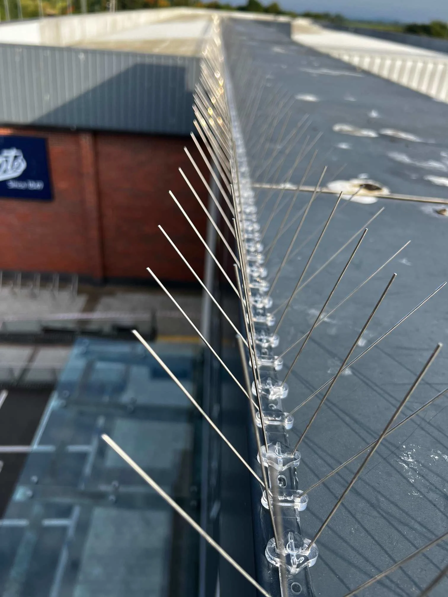 Images Alexander Cleaning & Maintenance Ltd