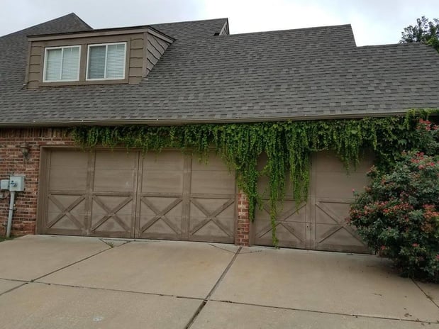 Images C & C Bush and Tree Trimming