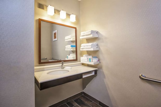 Images Hampton Inn Detroit/Belleville-Airport Area