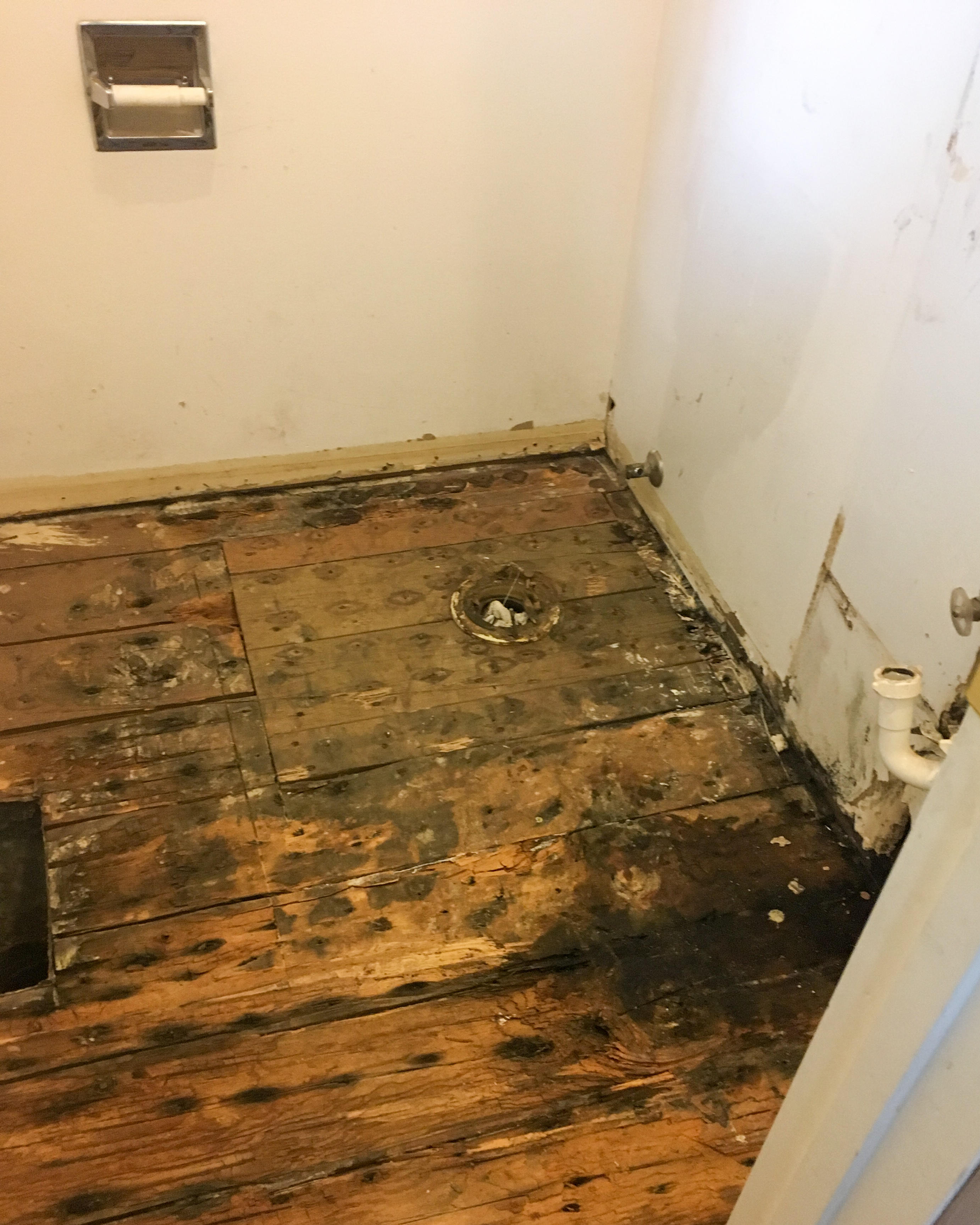 Once your home has a mold infestation, quick cleanup and remediation are vital to keeping the damage at a minimum and spreading to non-affected areas. If you have any questions or would like to schedule service for your Richmond Highlands, WA home, please give SERVPRO of Shoreline/Woodinville a call.