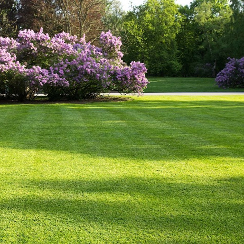 Mahrer Gartenbau GmbH, Gewerbepark Bata 6 in Möhlin