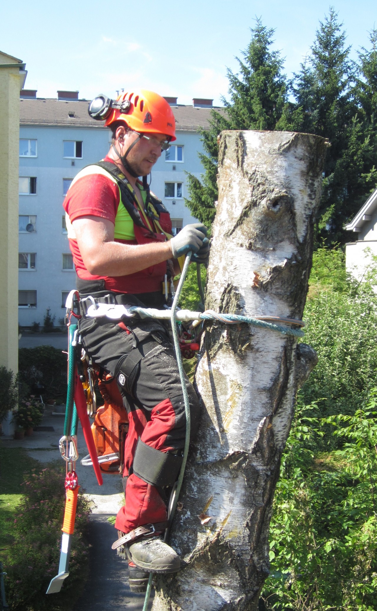 Bilder Michael Gruber Baumpflege & Dienstleistungen