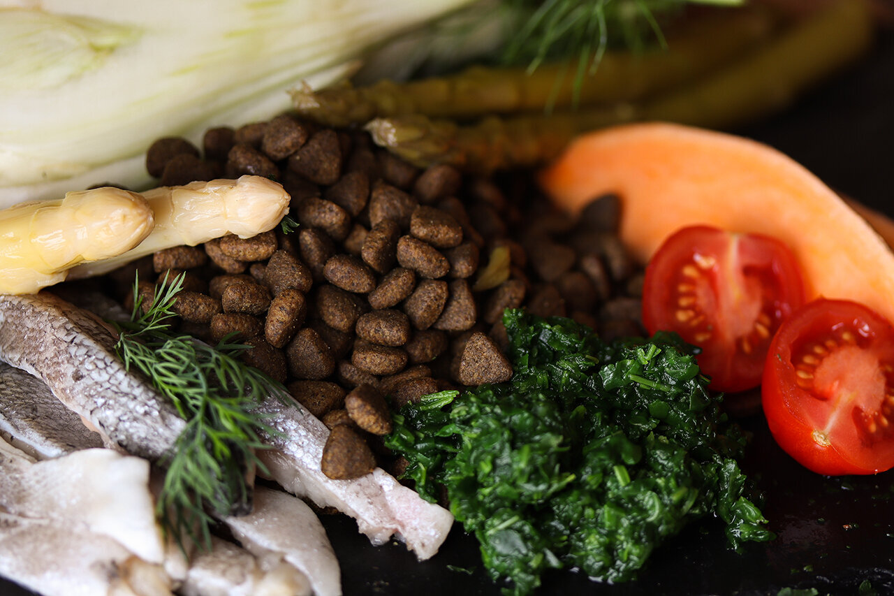 Bilder Green Pet Shop