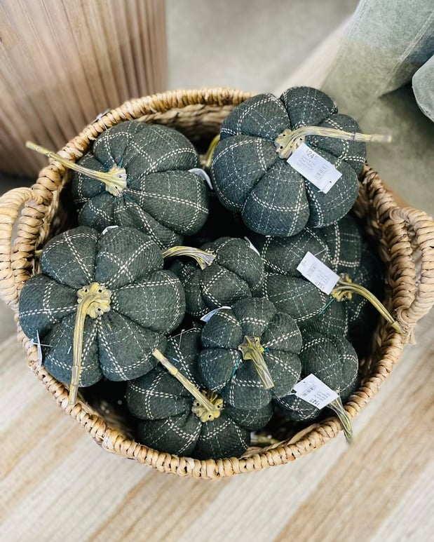 Images Miss Daisy's Home & Decor Co.