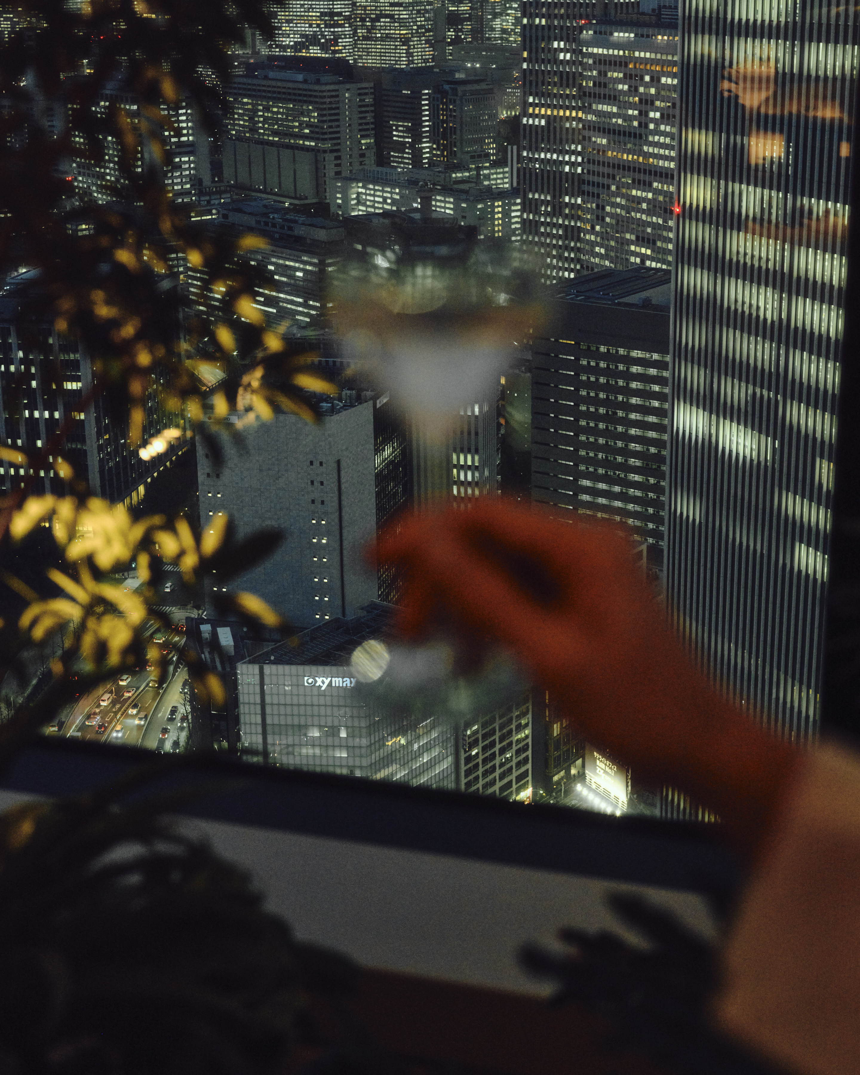 Gallery thumbnail