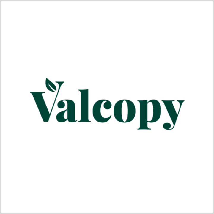Valcopy Logo