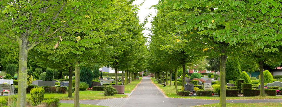 An der Johanneskirche (Norden) - Ev. Kirchengemeinde Hamm (Friedhof), An der Johanneskirche in Hamm