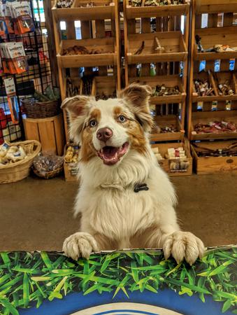Images Buster's Natural Pet Supply