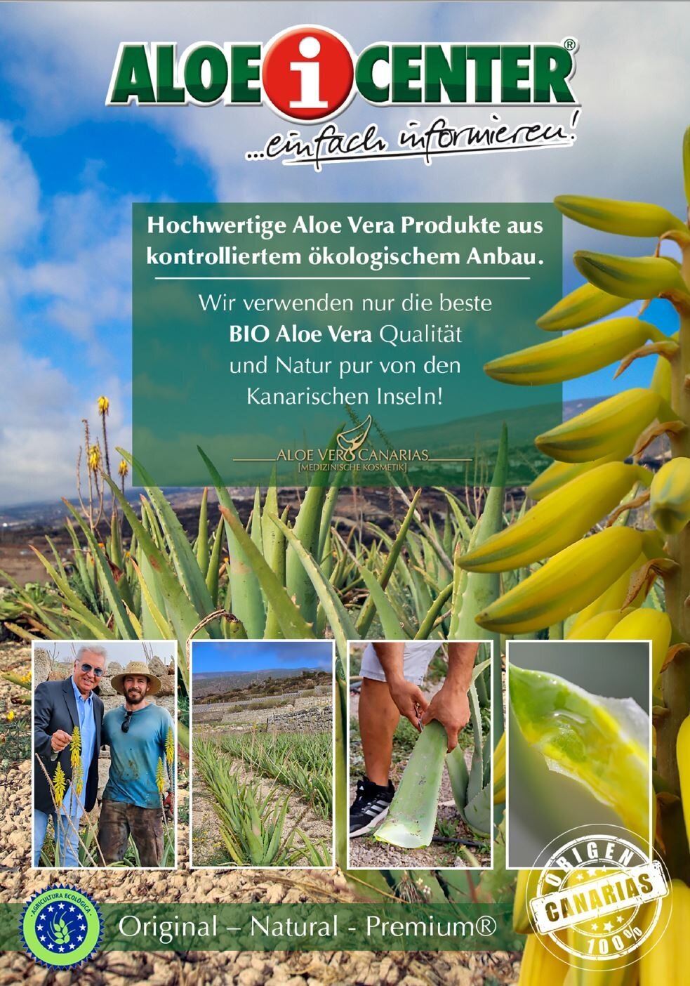 Images ALOE INFO CENTER S L