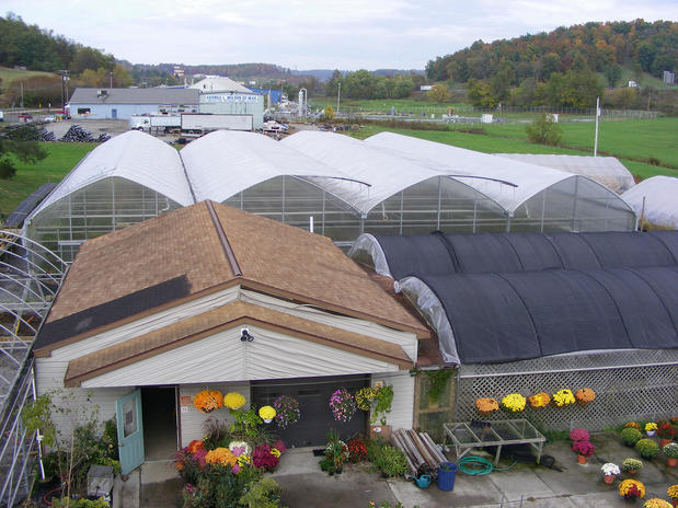 Images Freed's Greenhouse & Nursery
