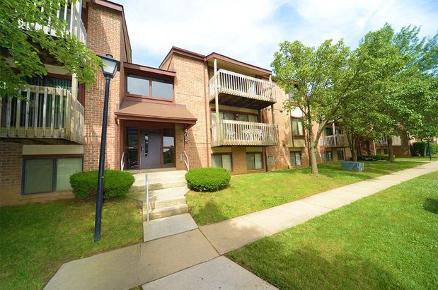 Images Shade Tree Trace Apartments