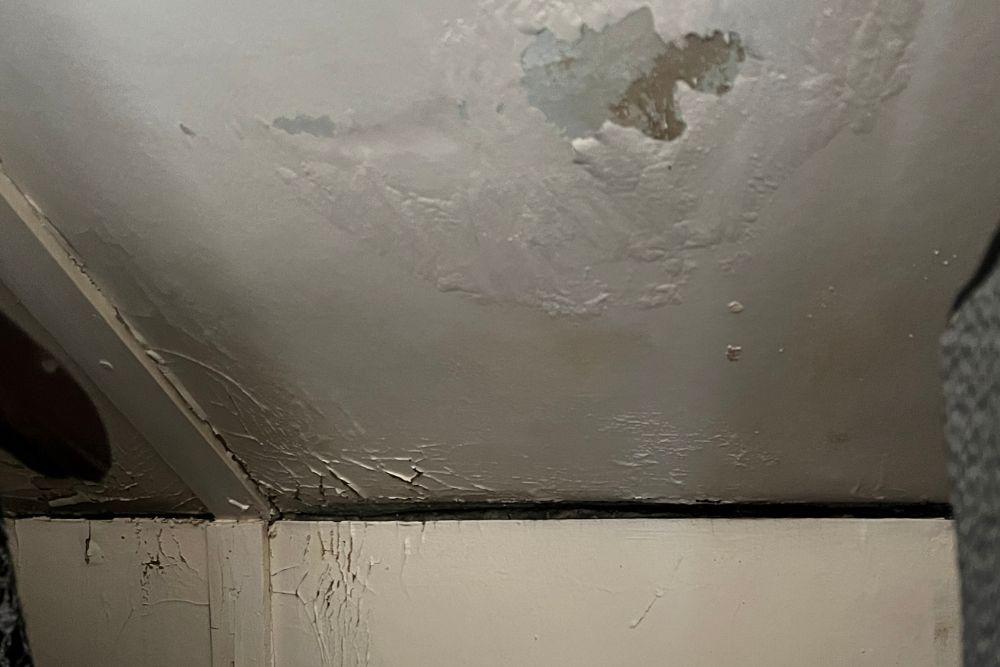 Pictured here is mold growth causing paint to peel.