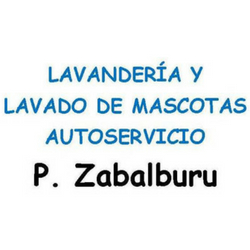 Lavandería y Lavado de Mascotas Autoservicio P. Zabalburu Logo