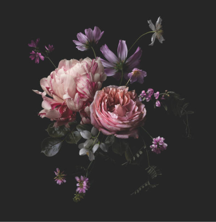 Bild 1 von Blumen Edith Findl