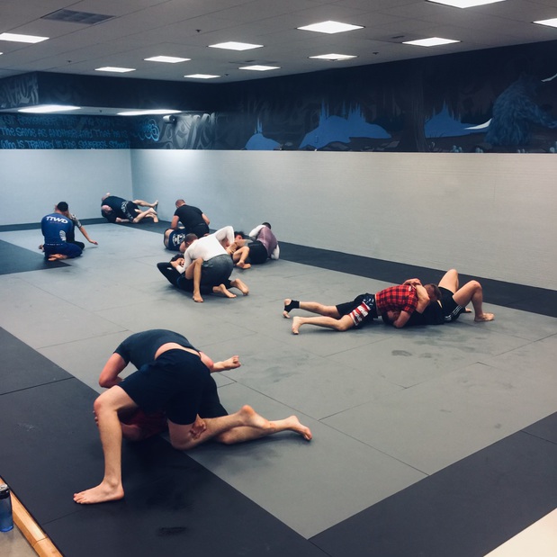 Images Defiance Jiu Jitsu