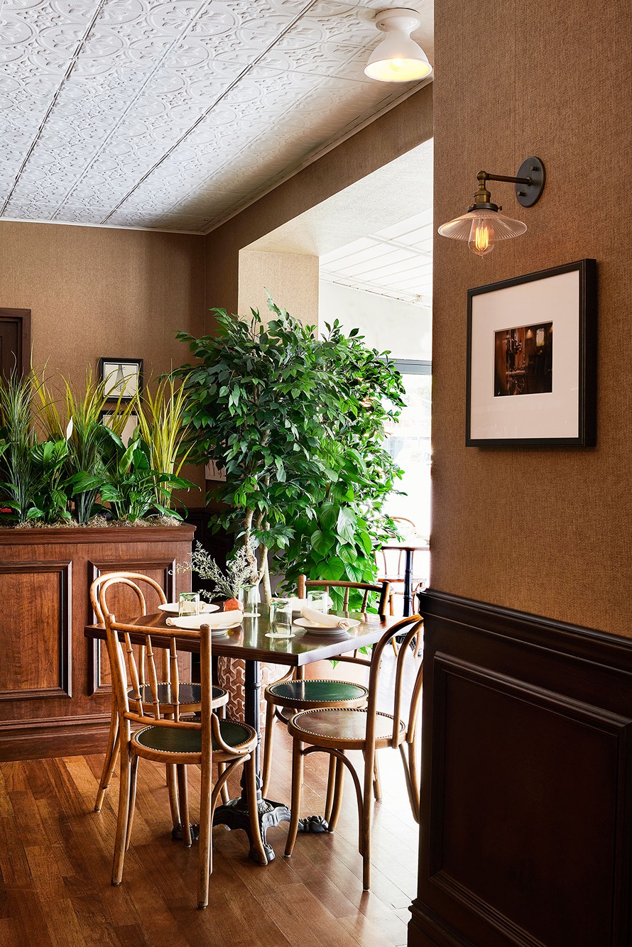 A wooden dining table with curved-back chairs sits near a lush green indoor plant. The room features brown textured wallpaper, wood paneling, and an ornate white tin ceiling.