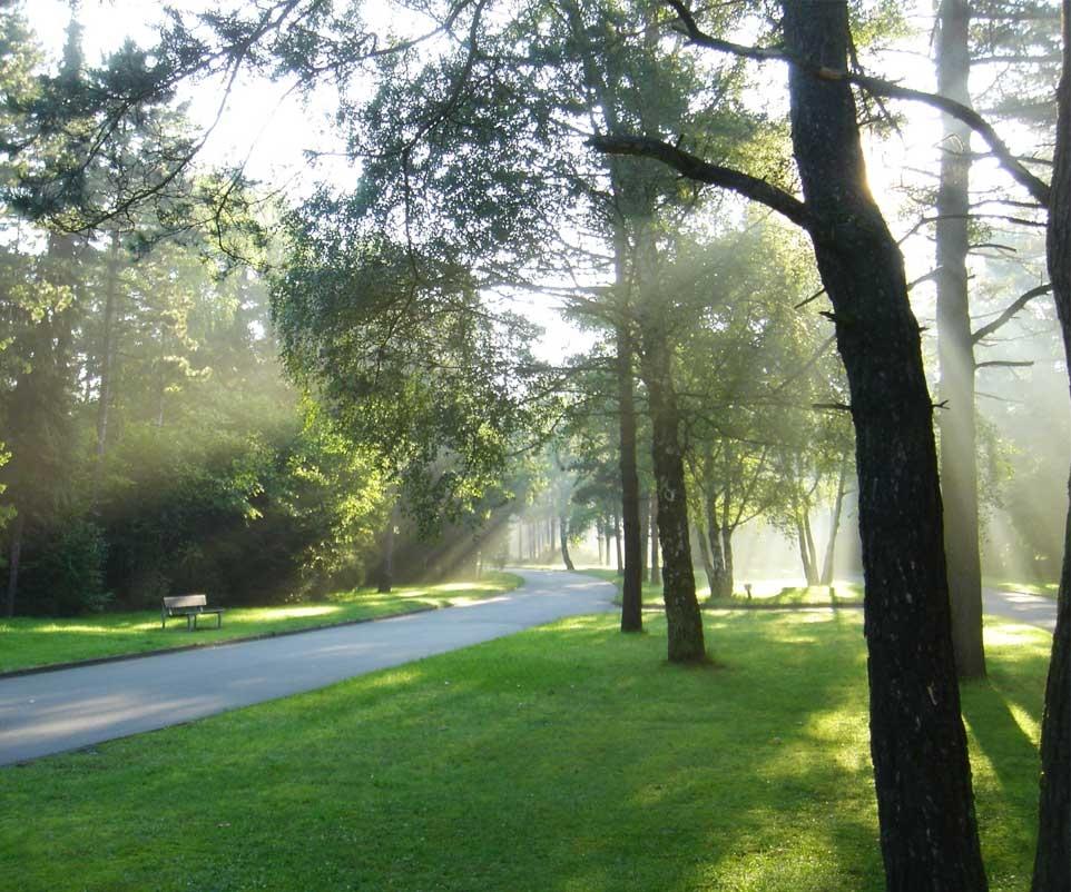 Friedhofsgärtnerei Bielefeld GmbH & Co. KG in Bielefeld