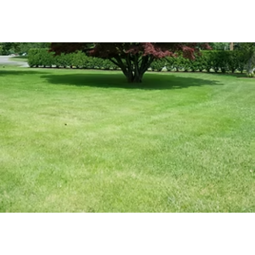 Images Nature's Touch Landscaping, Inc.