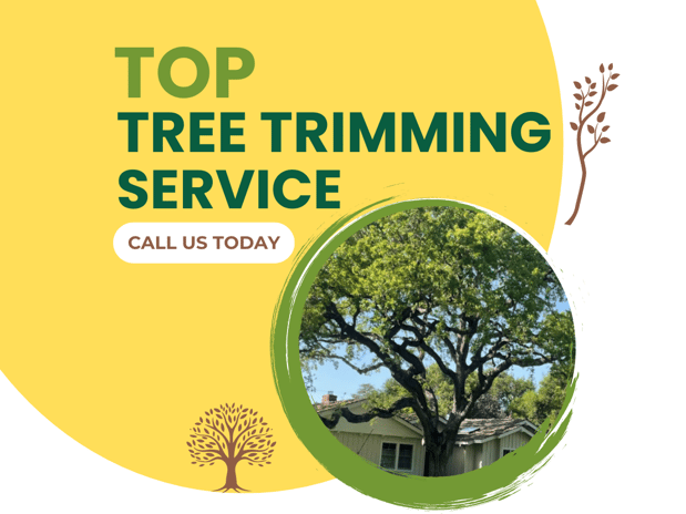 Images JC Tree Care & Landscape