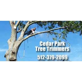 Cedar Park Tree Trimmers